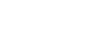 SEO оптимизация - Web Factor